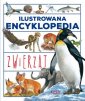 okładka książki - Ilustrowana encyklopedia zwierząt