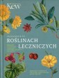 okładka książki - Przewodnik po roślinach leczniczych.