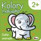 okładka książki - Kolory maluszka. Dzikie zwierzęta