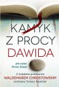 okładka książki - Kamyk z procy Dawida. Jak czytać