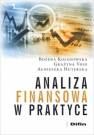 okładka książki - Analiza finansowa w praktyce