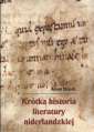 okładka książki - Krótka historia literatury niderlandzkiej