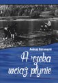 okładka książki - A rzeka wciąż płynie