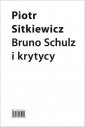 okładka książki - Bruno Schulz i krytycy. Recepcja