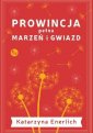 okładka książki - Prowincja pełna marzeń i gwiazd