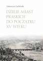 okładka książki - Dzieje miast praskich do początku
