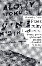 okładka książki - Przez ruiny i zgliszcza. Podróż