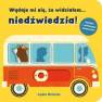 okładka książki - Wydaje mi się, że widziałem? niedźwiedzia!