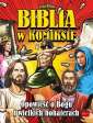 okładka książki - Biblia w komiksie. Opowieść o Bogu