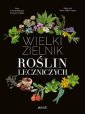 okładka książki - Wielki zielnik roślin leczniczych