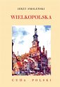 okładka książki - Wielkopolska