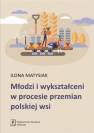 okładka książki - Młodzi i wykształceni w procesie