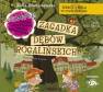 okładka książki - Ignacy i Mela na tropie złodzieja.