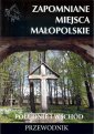 okładka książki - Zapomniane miejsca Małopolskie