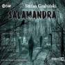 pudełko audiobooku - Salamandra (CD mp3)