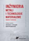 okładka książki - Inżynieria metali i technologie