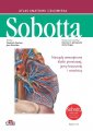 okładka książki - Atlas anatomii człowieka Sobotta.