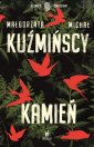 okładka książki - Kamień. Seria: Ślady zbrodni