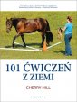 okładka książki - 101 Ćwiczeń z ziemi