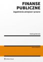 okładka książki - Finanse publiczne. Zagadnienia