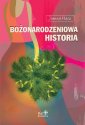 okładka książki - Bożonarodzeniowa historia