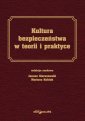 okładka książki - Kultura bezpieczeństwa w teorii