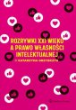 okładka książki - Rozrywki XXI wieku a prawo własności