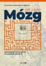 okładka książki - Nie tylko mózg. Opowieść psychiatry