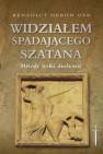 okładka książki - Widziałem spadającego szatana