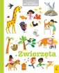 okładka książki - Pierwsza encyklopedia. Zwierzęta