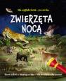 okładka książki - Zwierzęta nocą. Nocne safari z