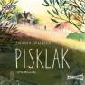 pudełko audiobooku - Pisklak (CD mp3)