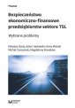 okładka książki - Bezpieczeństwo ekonomiczno-finansowe