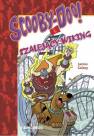 okładka książki - Scooby-Doo! I Szalejący Wiking