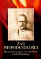 okładka książki - Żar niepodległości. Międzynarodowe