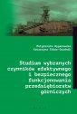 okładka książki - Studium wybranych czynników efektywnego