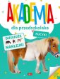 okładka książki - Akademia dla przedszkolaka. Kucyki