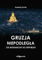 okładka książki - Gruzja niepodległa-od monarchii