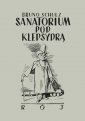 okładka książki - Sanatorium pod klepsydrą