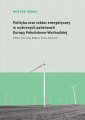 okładka książki - Polityka oraz sektor energetyczny