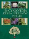 okładka książki - Encyklopedia drzew i krzewów