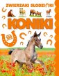 okładka książki - Koniki