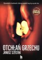 okładka książki - Otchłań grzechu