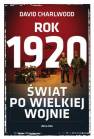 okładka książki - Rok 1920