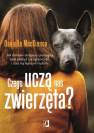 okładka książki - Czego uczą nas zwierzęta? Jak domowi