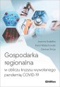 okładka książki - Gospodarka regionalna w obliczu