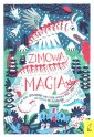 okładka książki - Zimowa magia