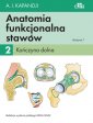 okładka książki - Anatomia funkcjonalna stawów. Tom