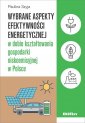 okładka książki - Wybrane aspekty efektywności energetycznej