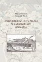 okładka książki - Zarys dziejów huty żelaza w Ząbkowicach